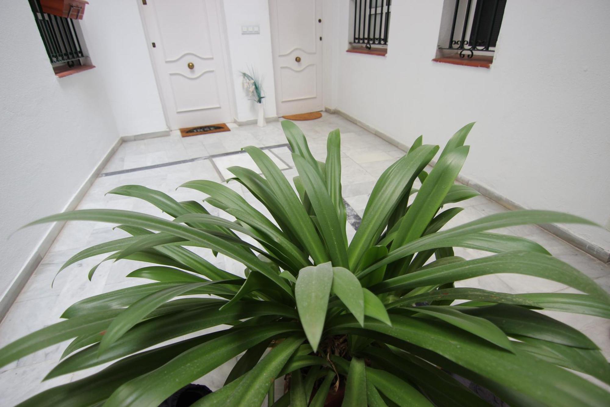 Apartamento Corazon De Triana Sevilla Exteriér fotografie